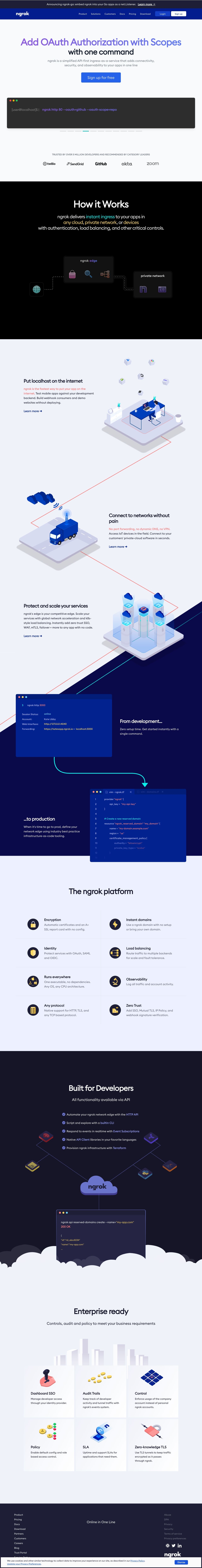 ngrok landing page design